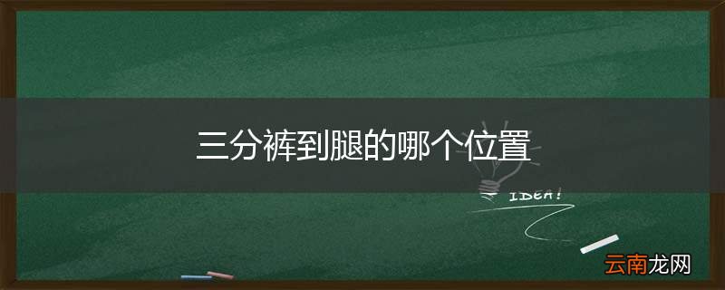 三分裤到腿的哪个位置
