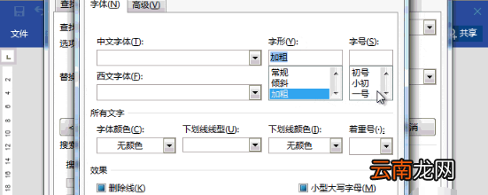 word通配符怎么使用 快速效率提升方法分享