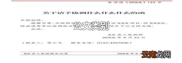 公文类别
