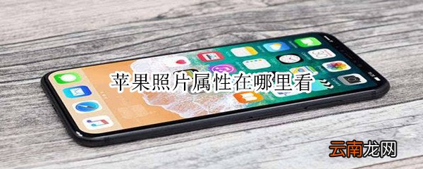 苹果照片属性在哪里看