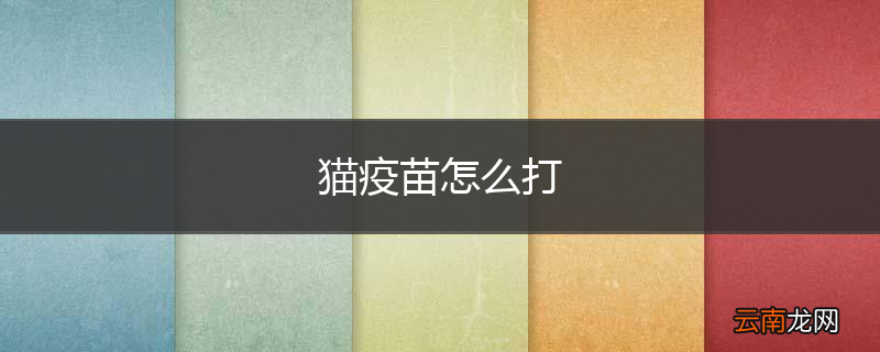 猫疫苗怎么打