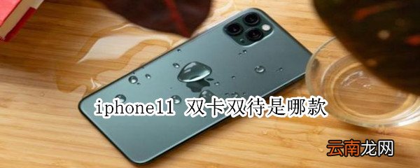 iphone11 双卡双待是哪款