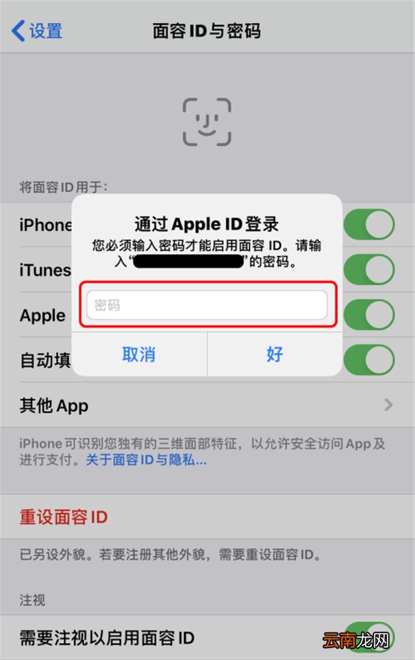 apple store怎么用面容