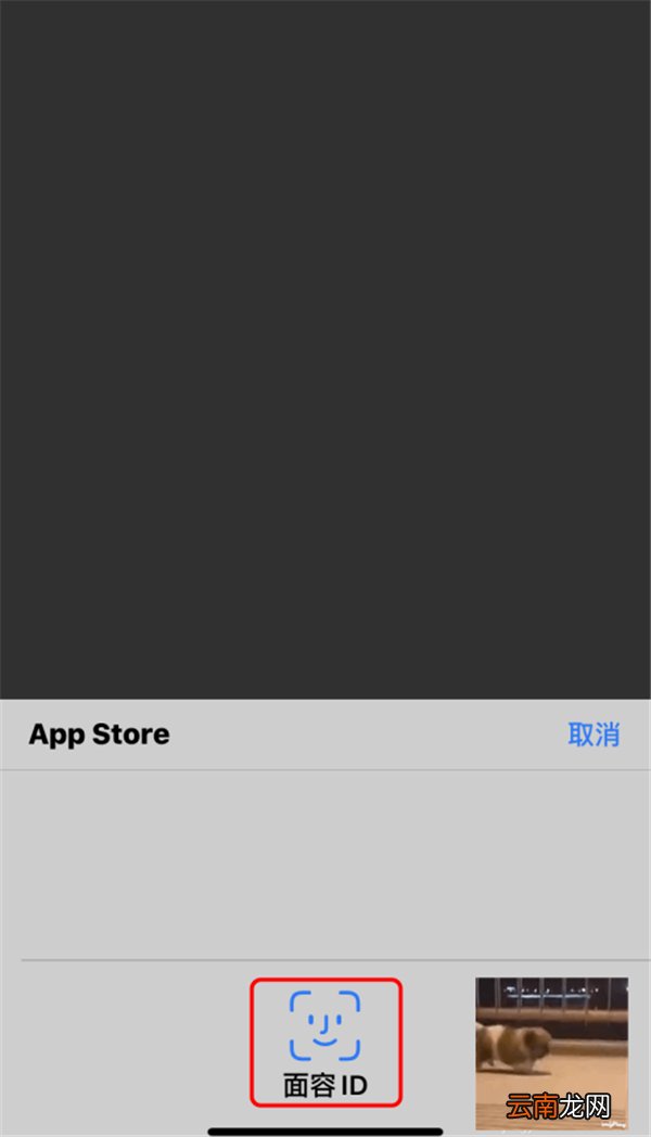 apple store怎么用面容