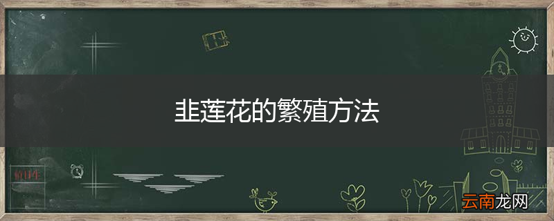 韭莲花的繁殖方法