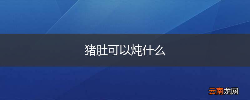 猪肚可以炖什么