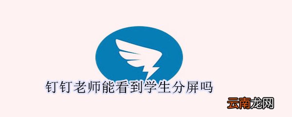 钉钉老师能看到学生分屏吗