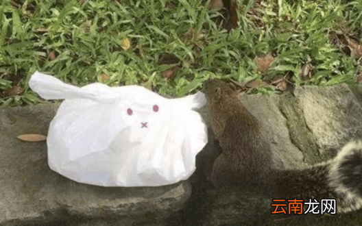 塑料袋是什么垃圾分类 塑料袋是可回收垃圾吗