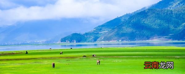 香格里拉在哪 香格里拉海拔