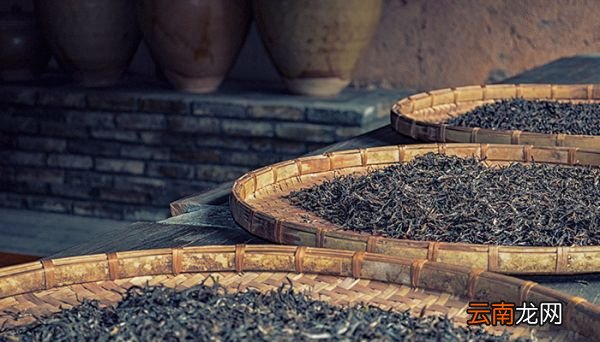 普洱是什么茶 普洱属于什么茶