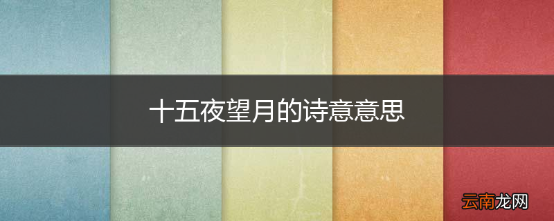 十五夜望月的诗意意思