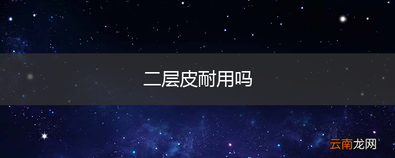 二层皮耐用吗