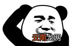 我怀疑你在开车但我没有证据是什么梗？