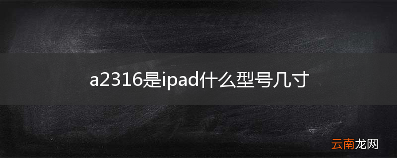 a2316是ipad什么型号几寸