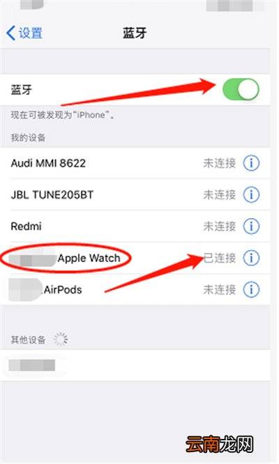 applewatch的电池健康怎么看