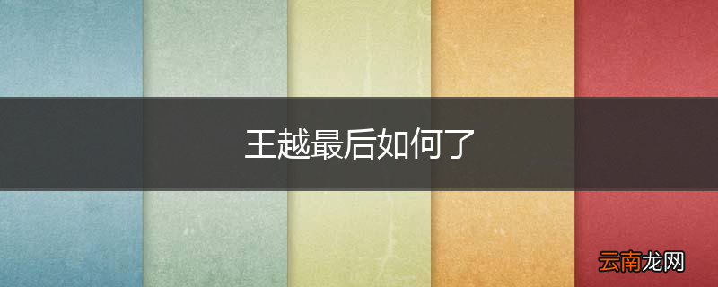 王越最后如何了