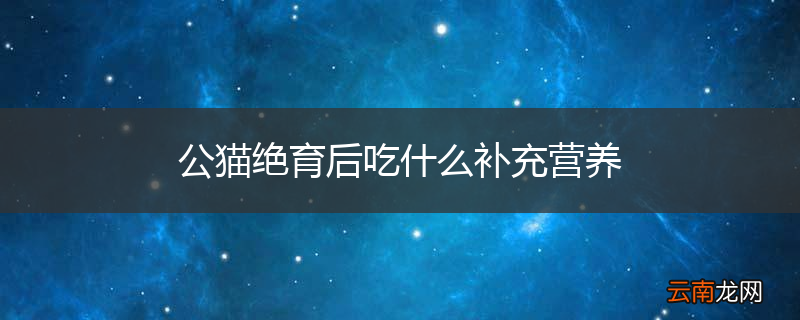 公猫绝育后吃什么补充营养