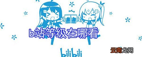 b站等级在哪看_b站经验值查看方式大全