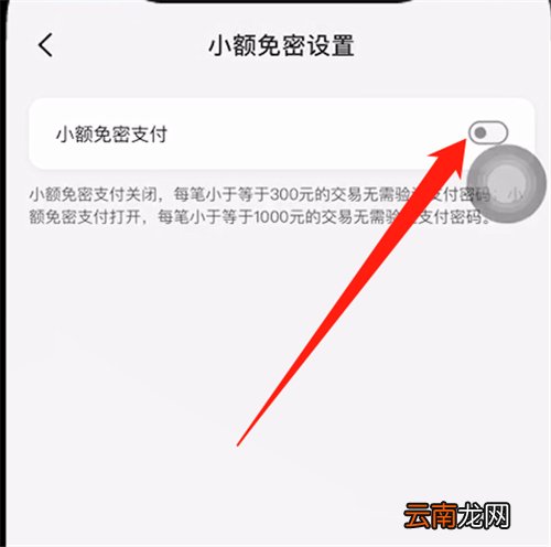 云闪付付款怎么不要密码就可以付款