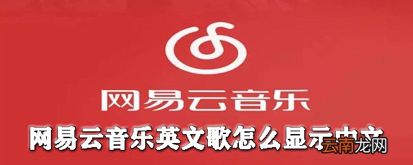 网易云音乐英文歌怎么显示中文_网易云音乐翻译歌词指南