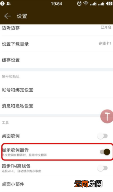 网易云音乐英文歌怎么显示中文_网易云音乐翻译歌词指南