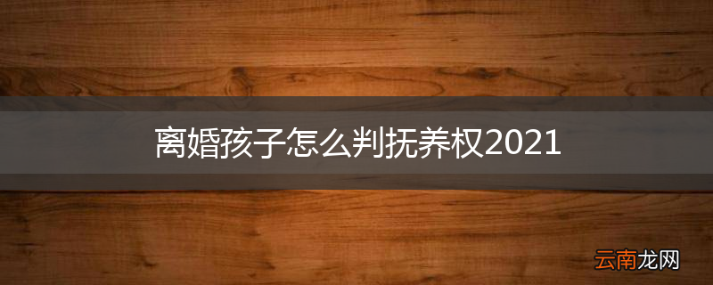 离婚孩子怎么判抚养权2021