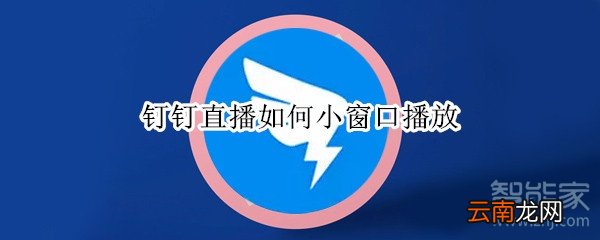 钉钉直播如何小窗口播放