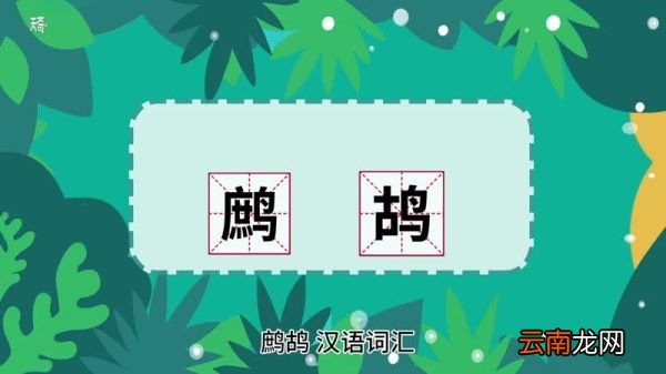 鹧鸪的意思 鹧鸪什么意思