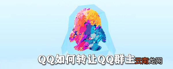 QQ怎么转让群主？QQ转让群主步骤一览