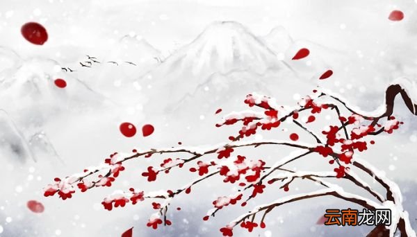 终南望余雪古诗的翻译 终南望余雪翻译赏析