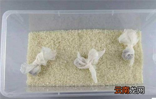 大米怎么保存不生虫