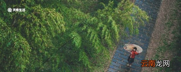 二十四节气白露的特点 二十四节气白露的特点是什么