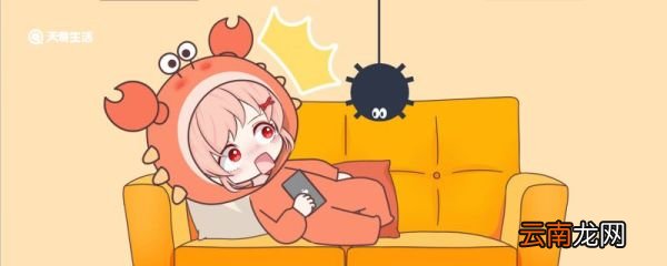 家里不脏为什么有蜘蛛 家里为什么有蜘蛛