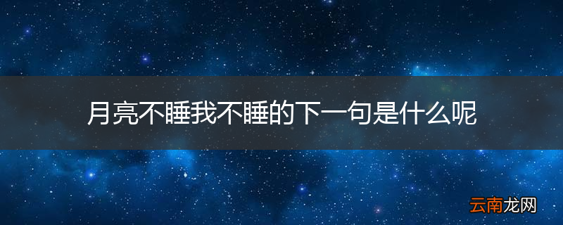 月亮不睡我不睡的下一句是什么呢