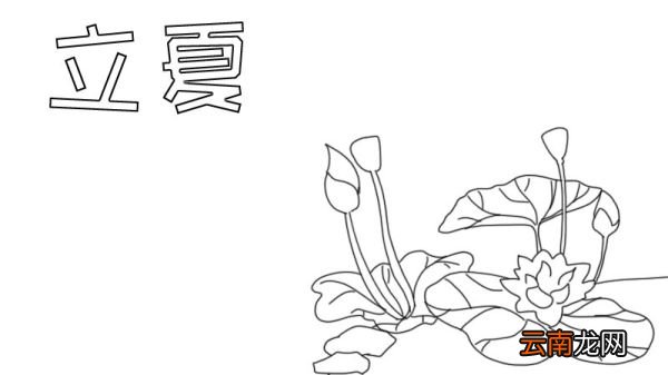 立夏手抄报怎么画简短