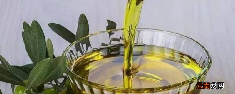 橄榄油的保质期一般是几年