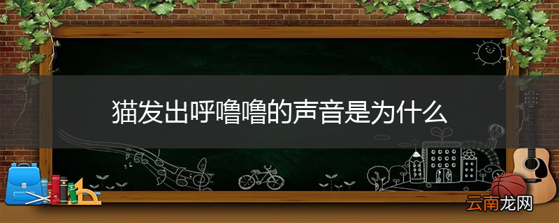 猫发出呼噜噜的声音是为什么