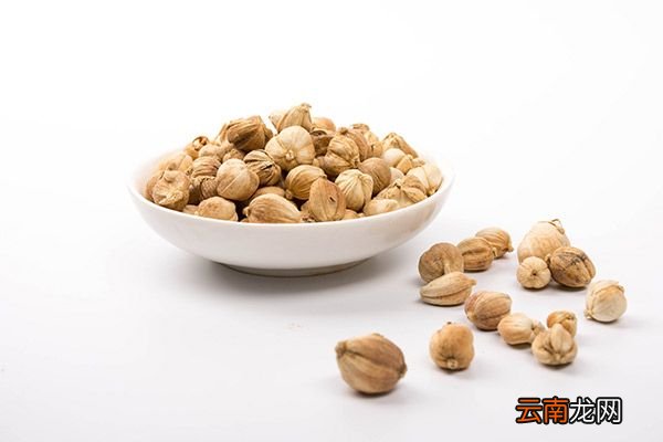 白寇的功效与作用 白寇的禁忌