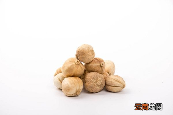 白寇的功效与作用 白寇的禁忌
