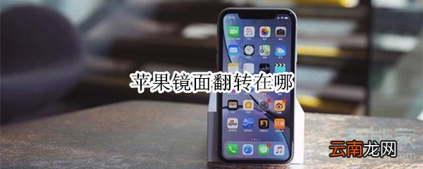苹果镜面翻转在哪