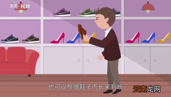 43码的鞋是多少厘米 43的脚是多少厘米