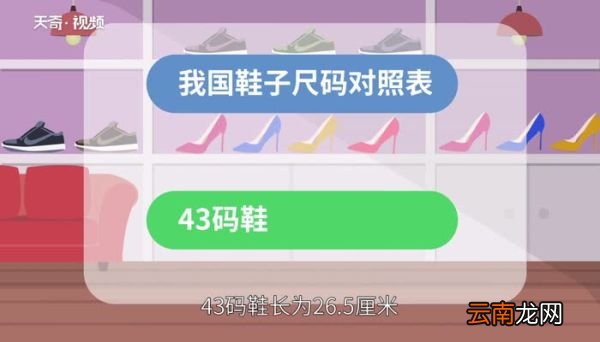 43码的鞋是多少厘米 43的脚是多少厘米