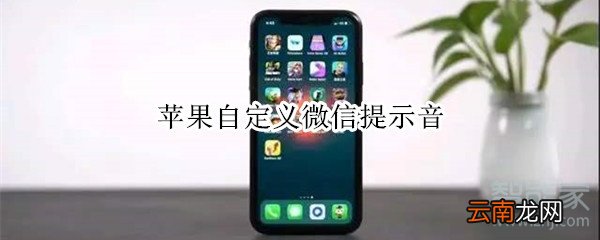 苹果自定义微信提示音