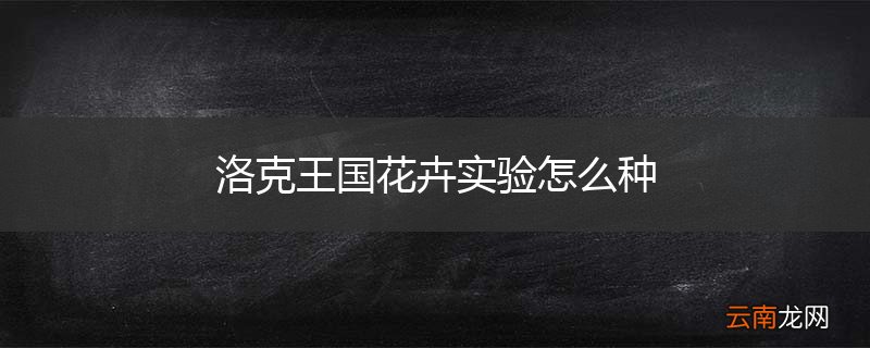 洛克王国花卉实验怎么种