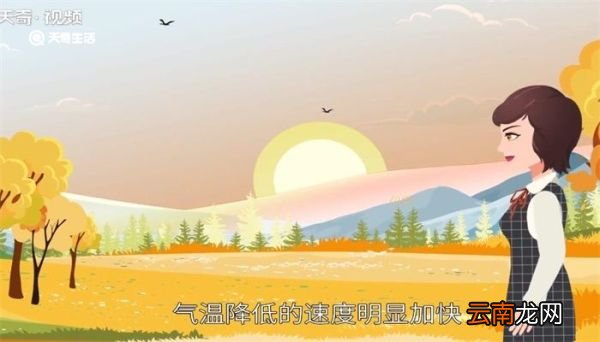 秋分有什么节气特点 秋分节气有什么特点