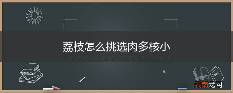 荔枝怎么挑选肉多核小