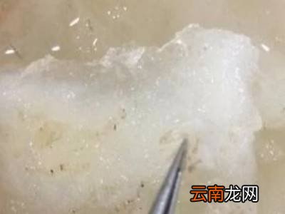 燕窝怎么清洗干净