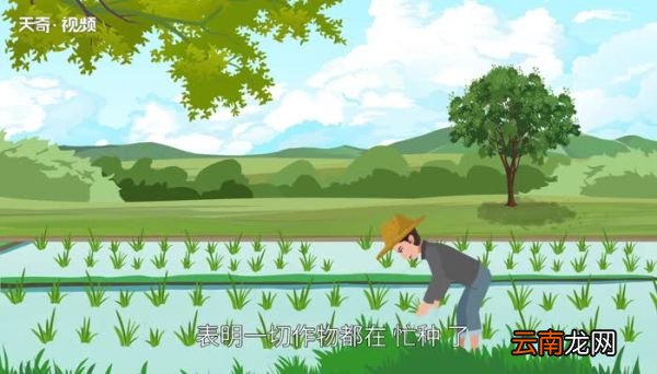 芒种为什么叫芒种 24节气芒种为什么叫芒种