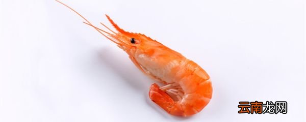 龙虾脑袋里面的那个黄可以吃吗 龙虾脑子里的黄能吃吗
