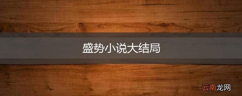 盛势小说大结局